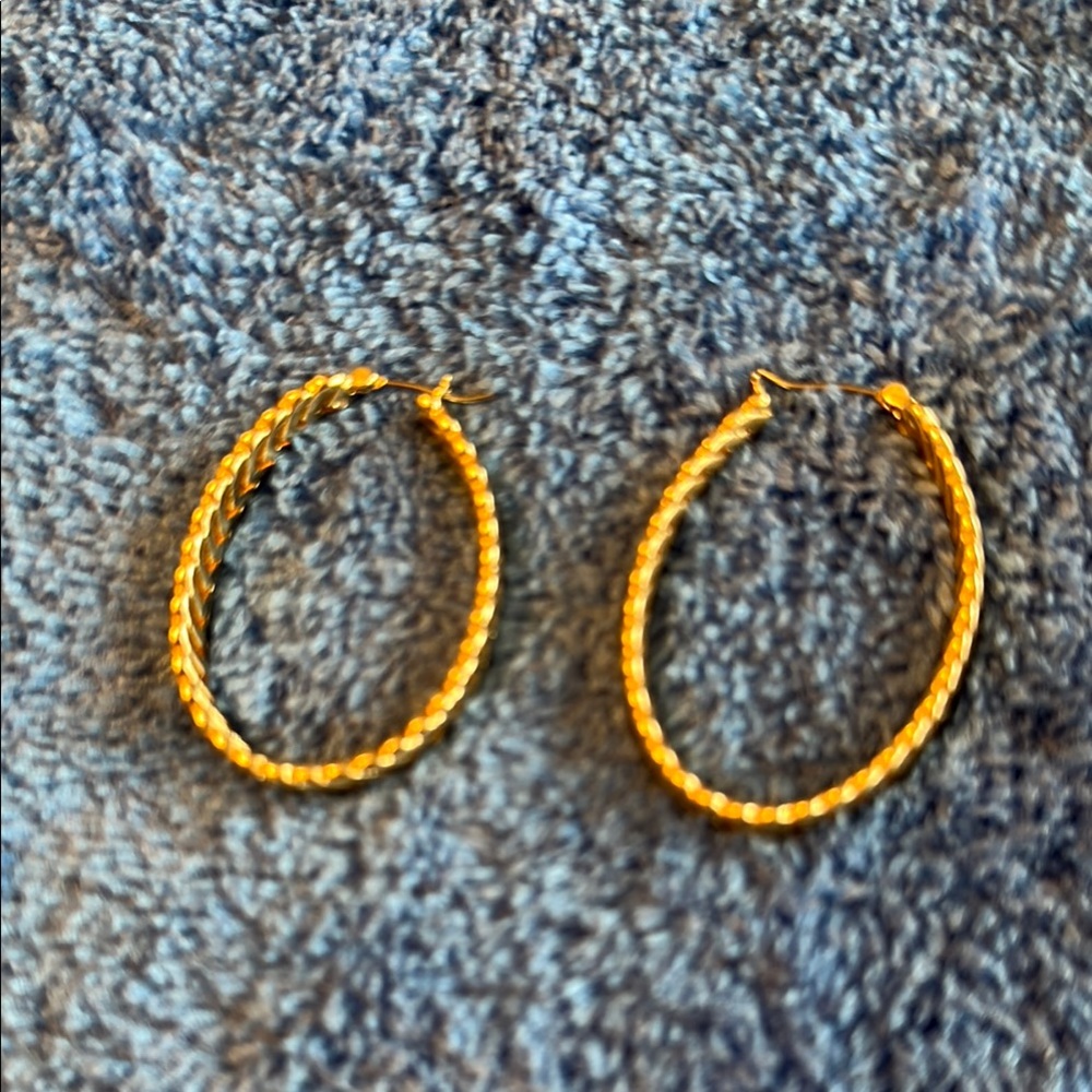 Elegant Gold Hoop Earrings